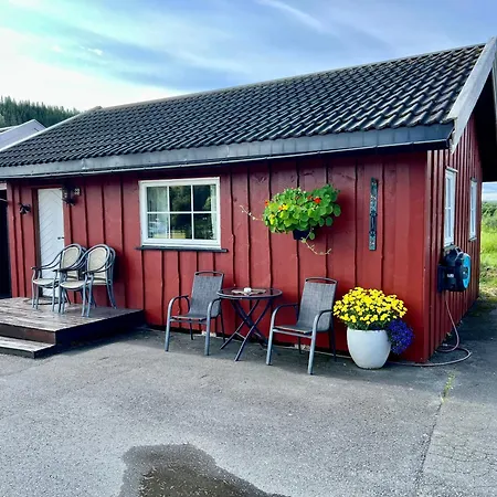 Gullvag Nyberg * Soknedal