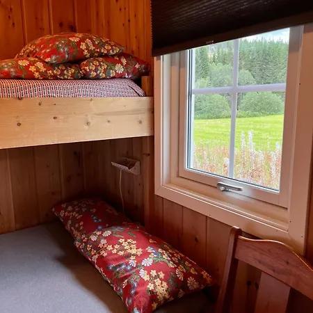 Gullvag Nyberg * Soknedal