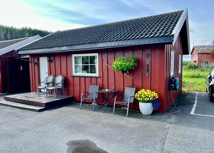Gullvag Nyberg * Soknedal
